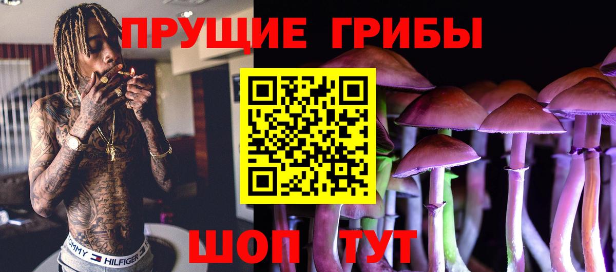 Псилоцибиновые грибы Psilocybe  Вход с VPN  Татарск  Галлюциногенные грибы мицелий 